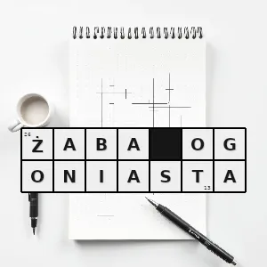 Rozwiązanie krzyżówki: ascaphus truei najprymitywniejszy żyjący obecnie gatunek płaza bezogonowego należący do rodziny liopelmowatych samce posiadają wyjątkową wśród płazów bezogonowych cechę występowanie na końcu tuł - żaba ogoniasta | hasła, synonimy i podpowiedzi Hasło krzyżówkowe ascaphus truei najprymitywniejszy żyjący obecnie gatunek płaza bezogonowego należący do rodziny liopelmowatych samce posiadają wyjątkową wśród płazów bezogonowych cechę występowanie na końcu tuł - żaba ogoniasta – rozwiązanie, synonimy, podpowiedzi i definicje krzyżówkowe